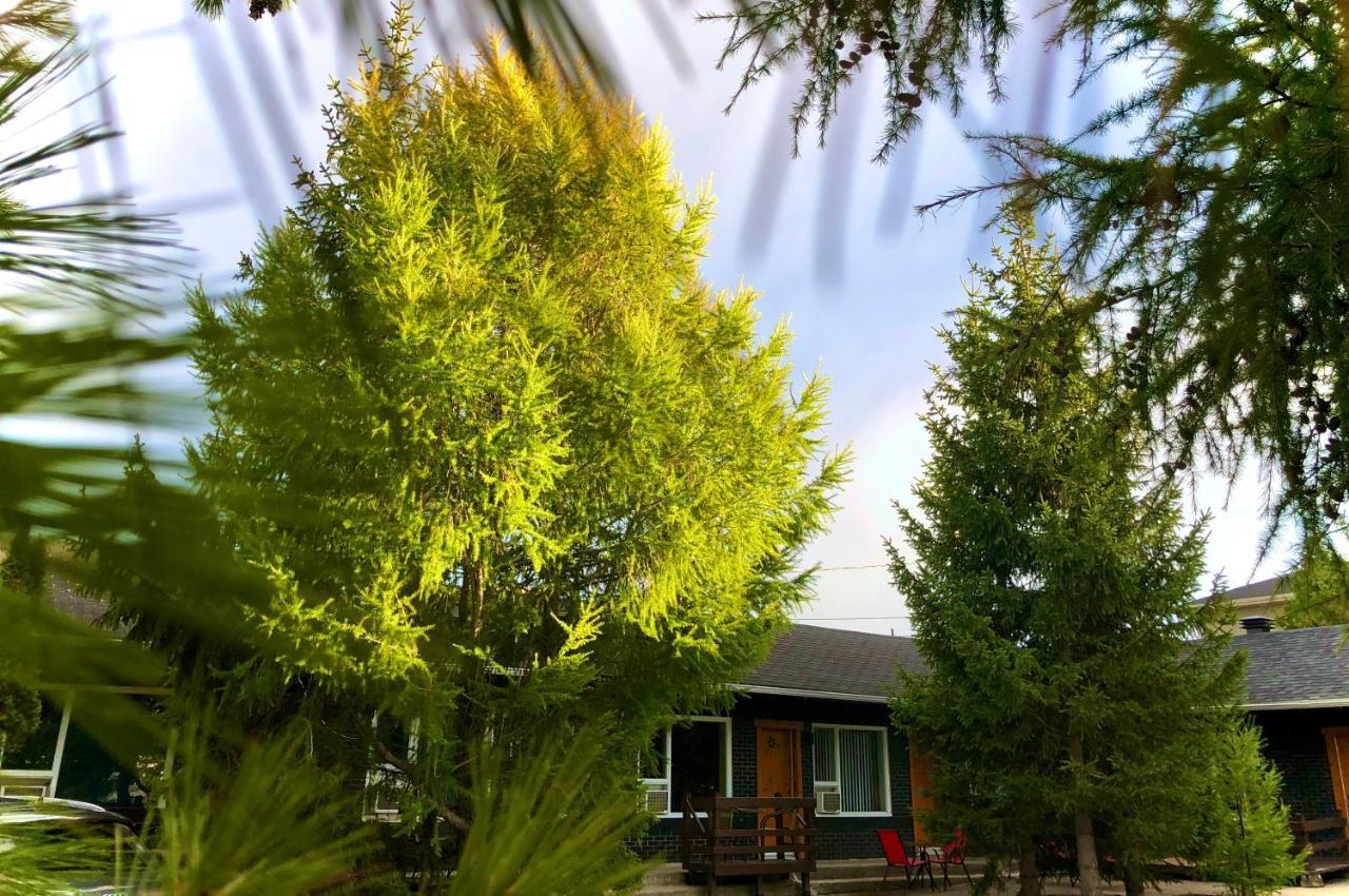 Motel Boutique Hygge Baie-Saint-Paul Esterno foto