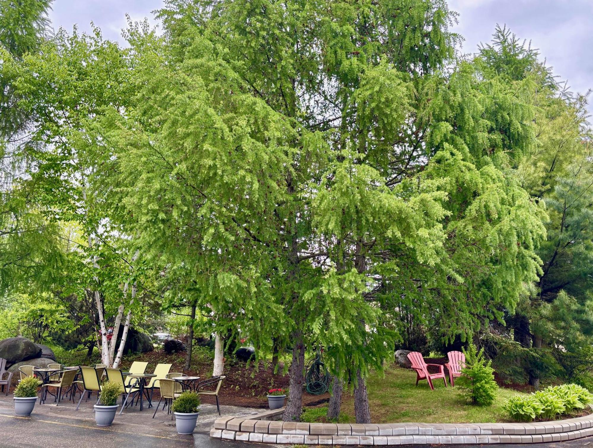 Motel Boutique Hygge Baie-Saint-Paul Esterno foto